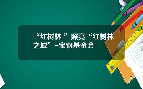 “红树林+”照亮“红树林之城”-宝钢基金会