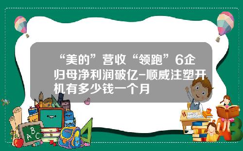 “美的”营收“领跑”6企归母净利润破亿-顺威注塑开机有多少钱一个月