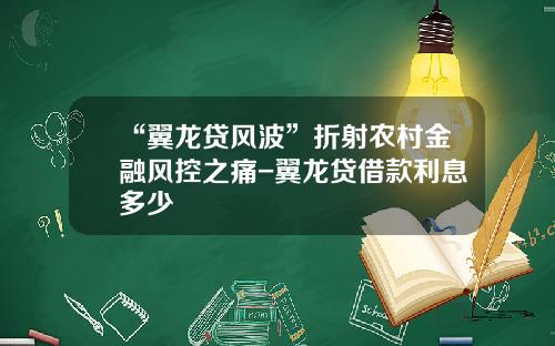 “翼龙贷风波”折射农村金融风控之痛-翼龙贷借款利息多少