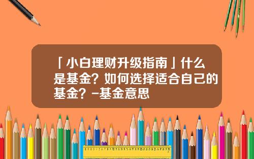 「小白理财升级指南」什么是基金？如何选择适合自己的基金？-基金意思