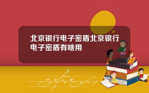 北京银行电子密盾北京银行电子密盾有啥用