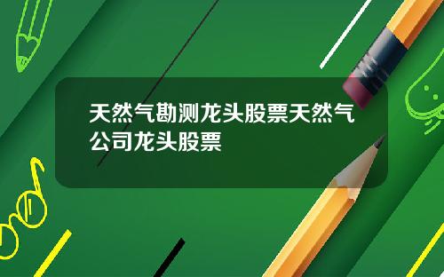 天然气勘测龙头股票天然气公司龙头股票