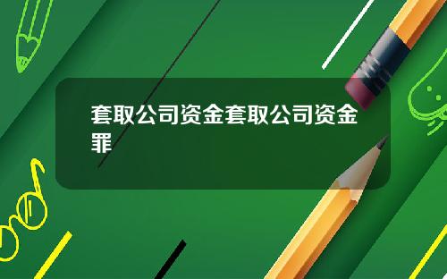 套取公司资金套取公司资金罪
