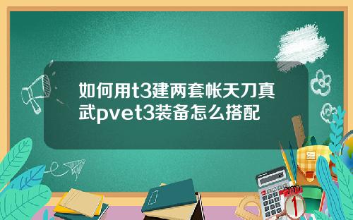 如何用t3建两套帐天刀真武pvet3装备怎么搭配