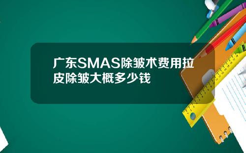 广东SMAS除皱术费用拉皮除皱大概多少钱