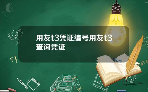 用友t3凭证编号用友t3查询凭证