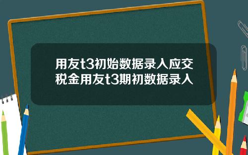 用友t3初始数据录入应交税金用友t3期初数据录入