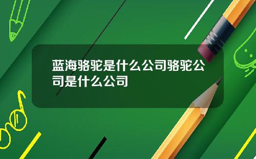 蓝海骆驼是什么公司骆驼公司是什么公司