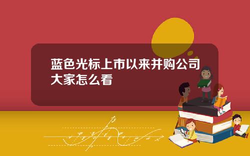 蓝色光标上市以来并购公司大家怎么看