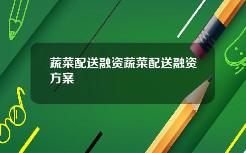 蔬菜配送融资蔬菜配送融资方案