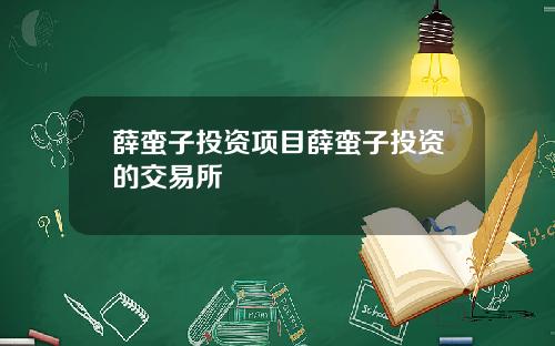 薛蛮子投资项目薛蛮子投资的交易所