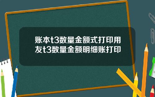 账本t3数量金额式打印用友t3数量金额明细账打印
