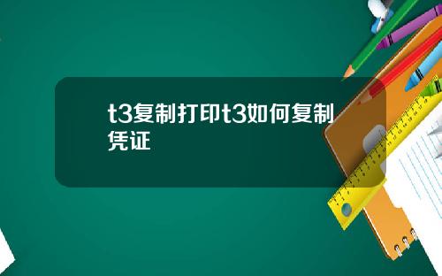 t3复制打印t3如何复制凭证